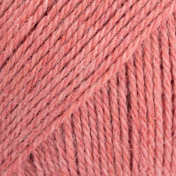 Flora