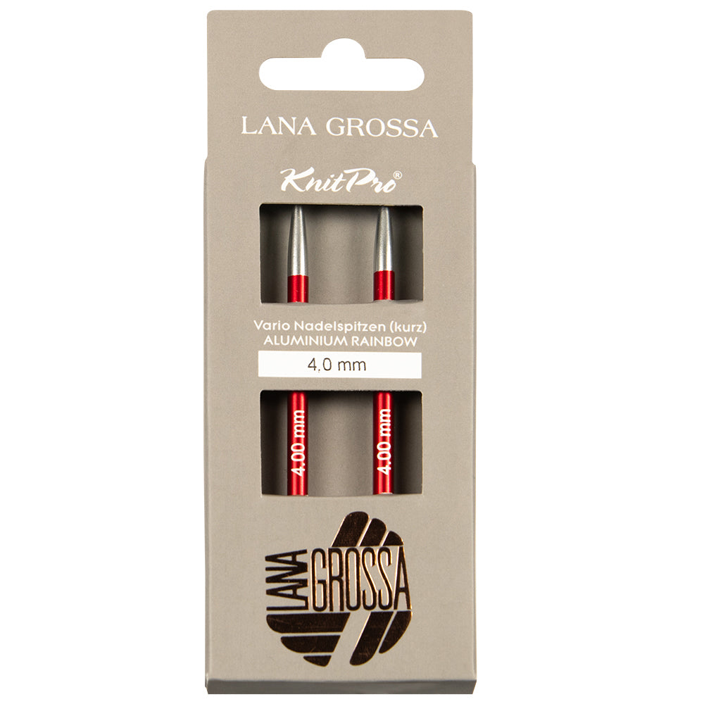 Nadelspitzen Rainbow
