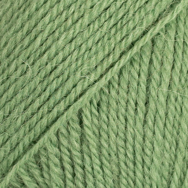 Flora