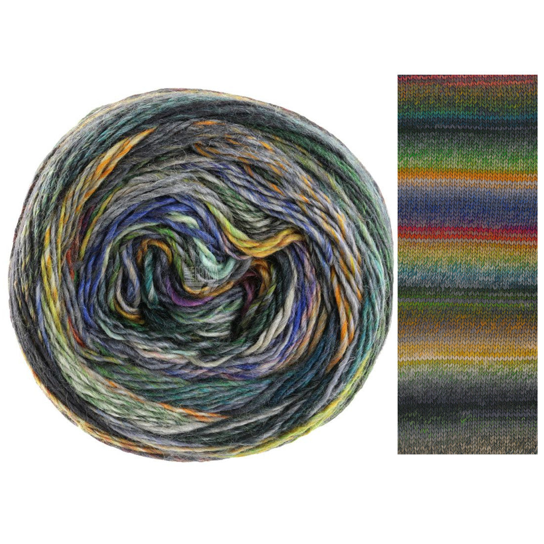 Colorissimo