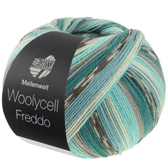 Meilenweit 100 Woolycell Freddo  Sortiment 800g