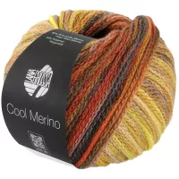 Cool  Merino Color
50g leichtes...